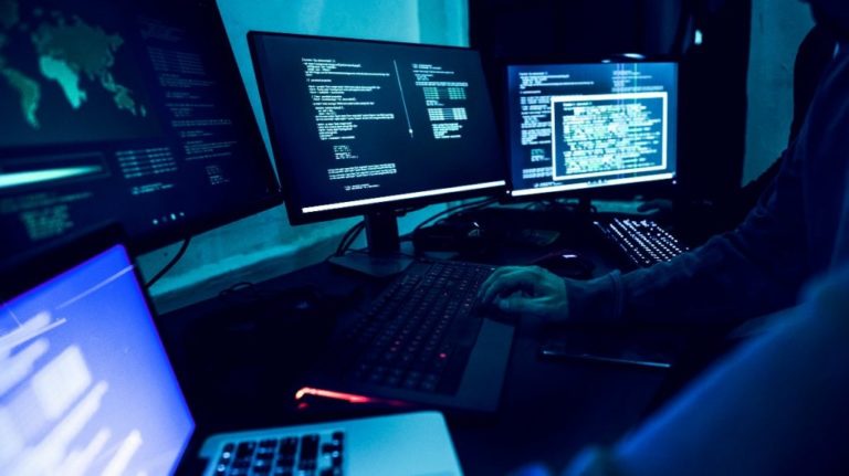 Fair Comparison between Web Designer vs Web Developer