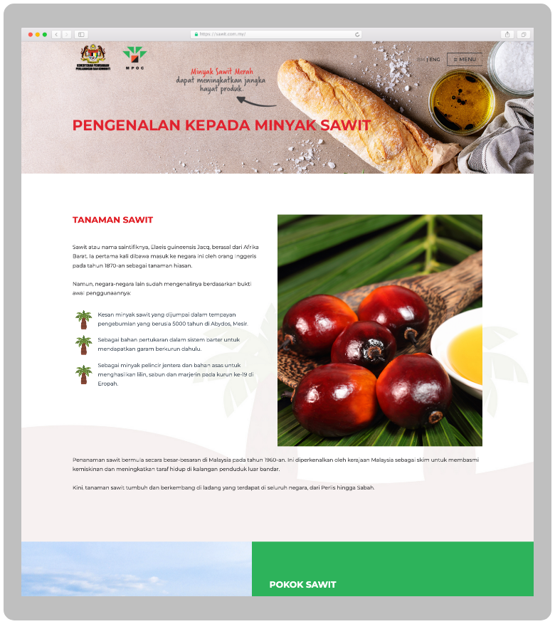malaysian-palm-oil-council-website-designer-malaysia