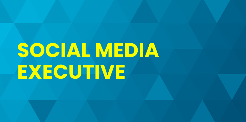 social media executive