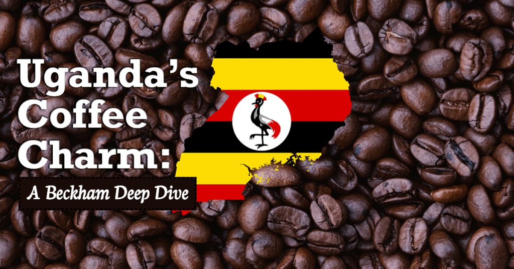 uganda's coffee