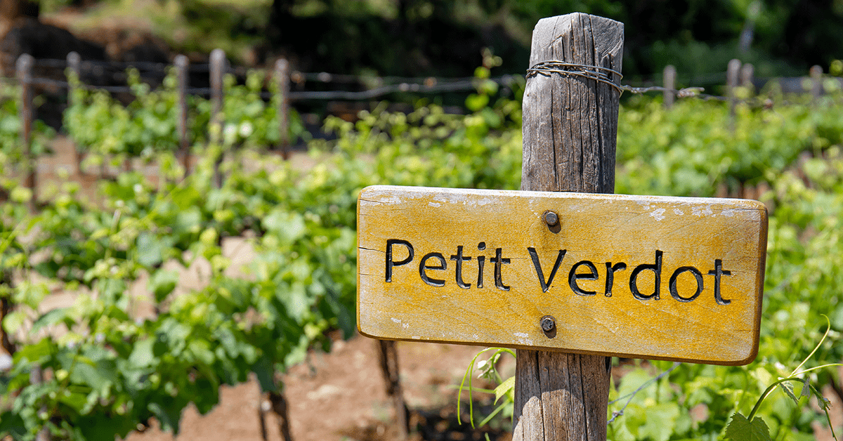 the world of petit verdot
