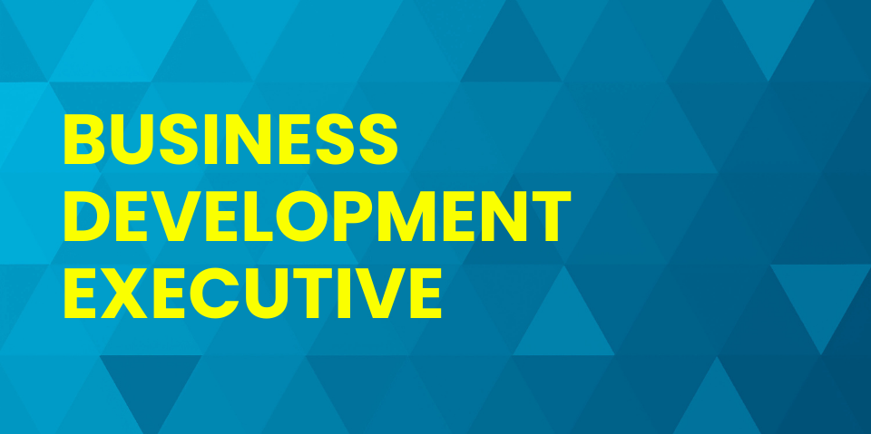 business development executive at WDD