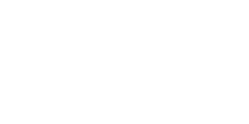 Logo LBS Bina
